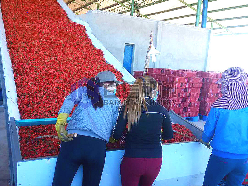 線(xiàn)椒烘干機(jī)