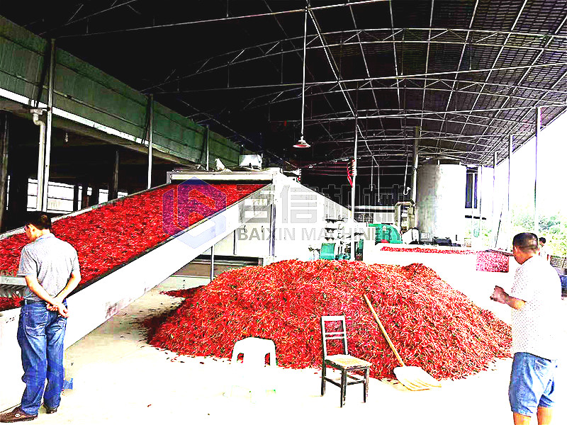 大型辣椒烘干機