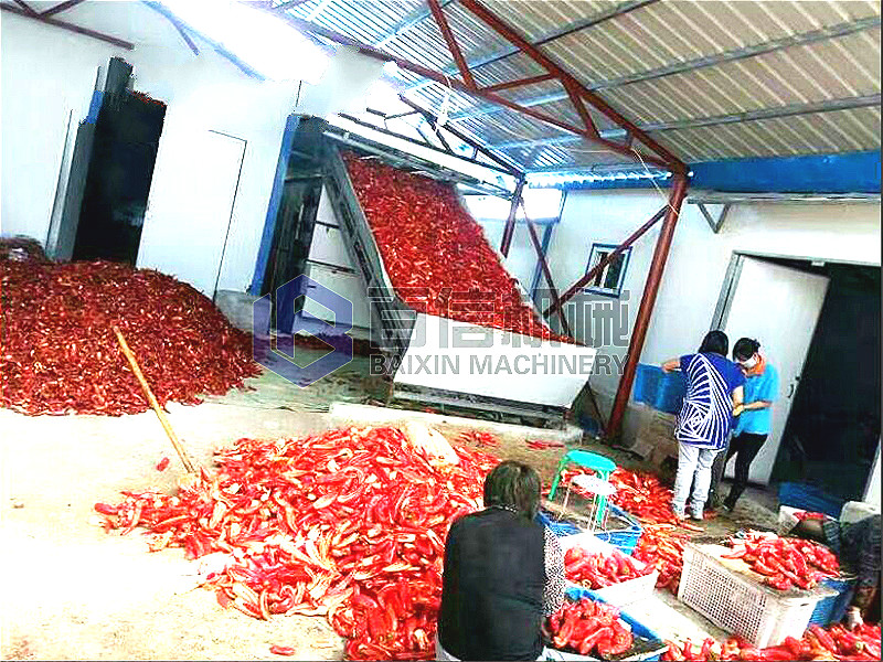 鄭州網(wǎng)帶辣椒烘干機